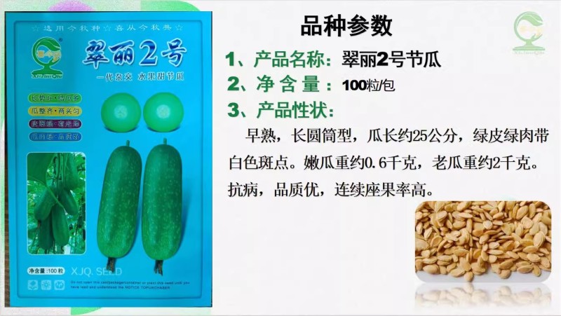 【翠丽2号】杂交一代早熟水果甜节瓜长圆筒型绿肉