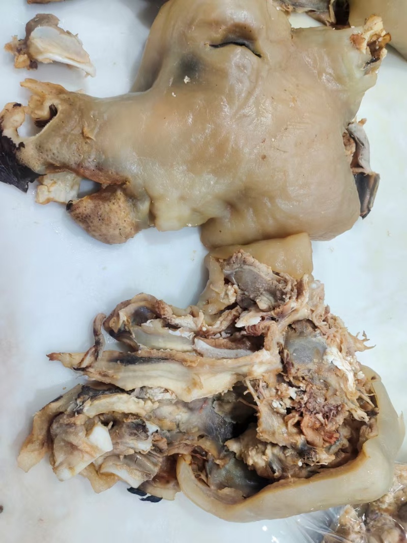 带皮熟牛头肉品质保证货源充足清水煮制8分熟度