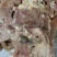 带皮熟牛头肉品质保证货源充足清水煮制8分熟度