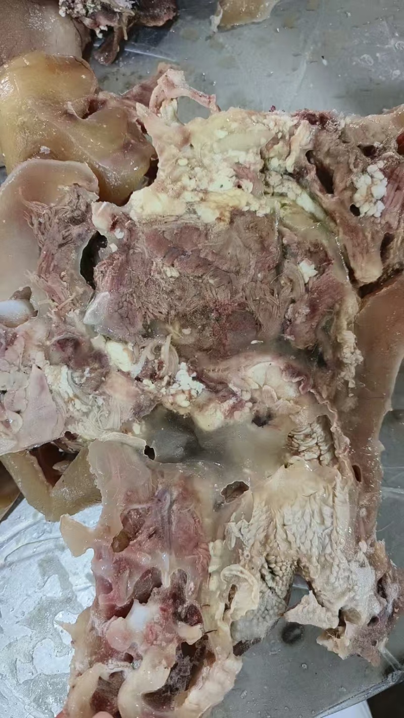 带皮熟牛头肉品质保证货源充足清水煮制8分熟度