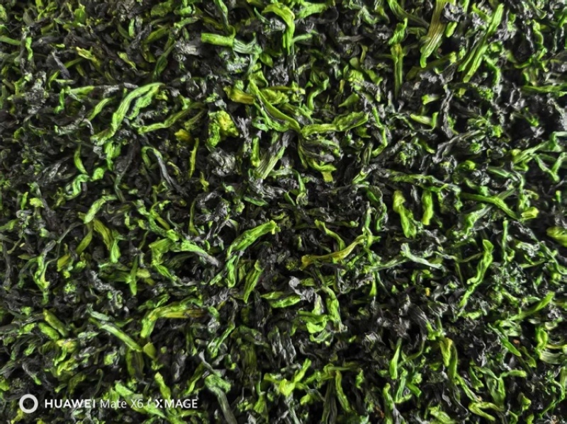 万年青脱水菜芯营养高易保存青菜干量大价优欢迎联