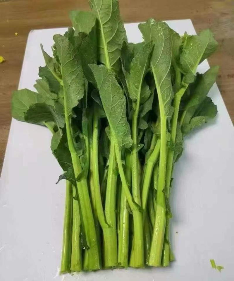板蓝根菜苔