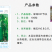 翠绿（037）节瓜早熟连座强丰产商品性好抗病性强