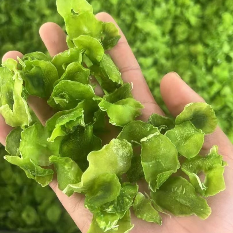 推荐莴笋干脱水莴笋片易保存营养丰富厂家直发价格实惠欢迎联系
