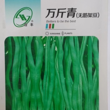 万斤青无筋架豆-豇豆种子抗热肉厚脆嫩生长旺盛