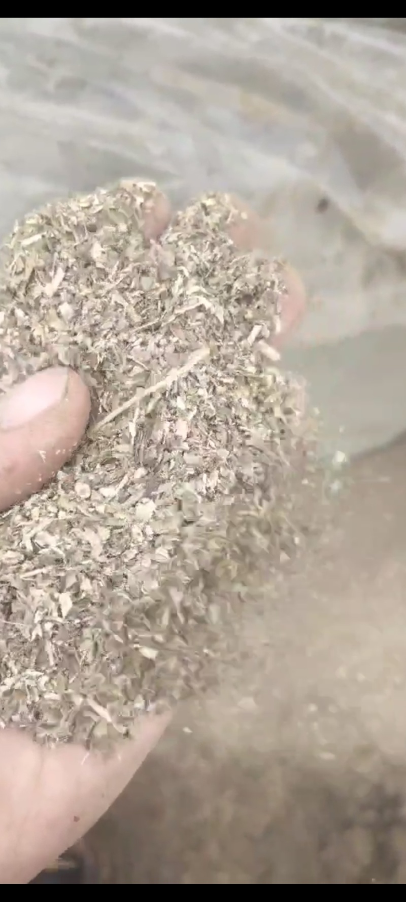 花生秧叶粉喂鹅喂鸭饲料