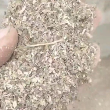花生秧叶粉喂鹅喂鸭饲料