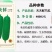 【天天鲜节瓜】早熟耐热绿皮绿肉心腔小瓜型匀称产量佳