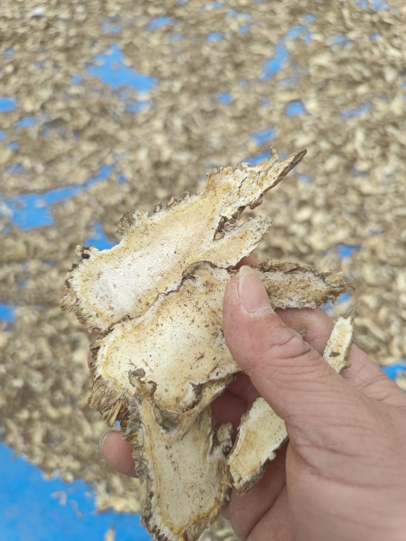 当归全网低价疯抢***新鲜现货快来购买