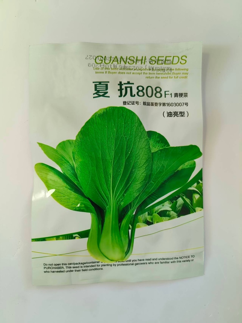 夏抗808-青梗菜种子早熟丰产品质优适应性强