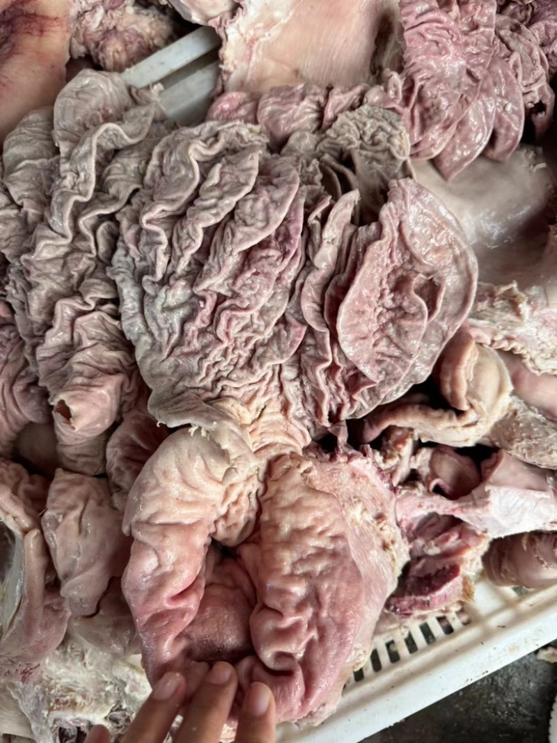 全熟、半成品牛散带做杂炒菜佳品牛杂量大从优欢迎来电咨询