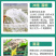 根优旺生根剂EM菌液中药发酵菌液抗病生根解农残