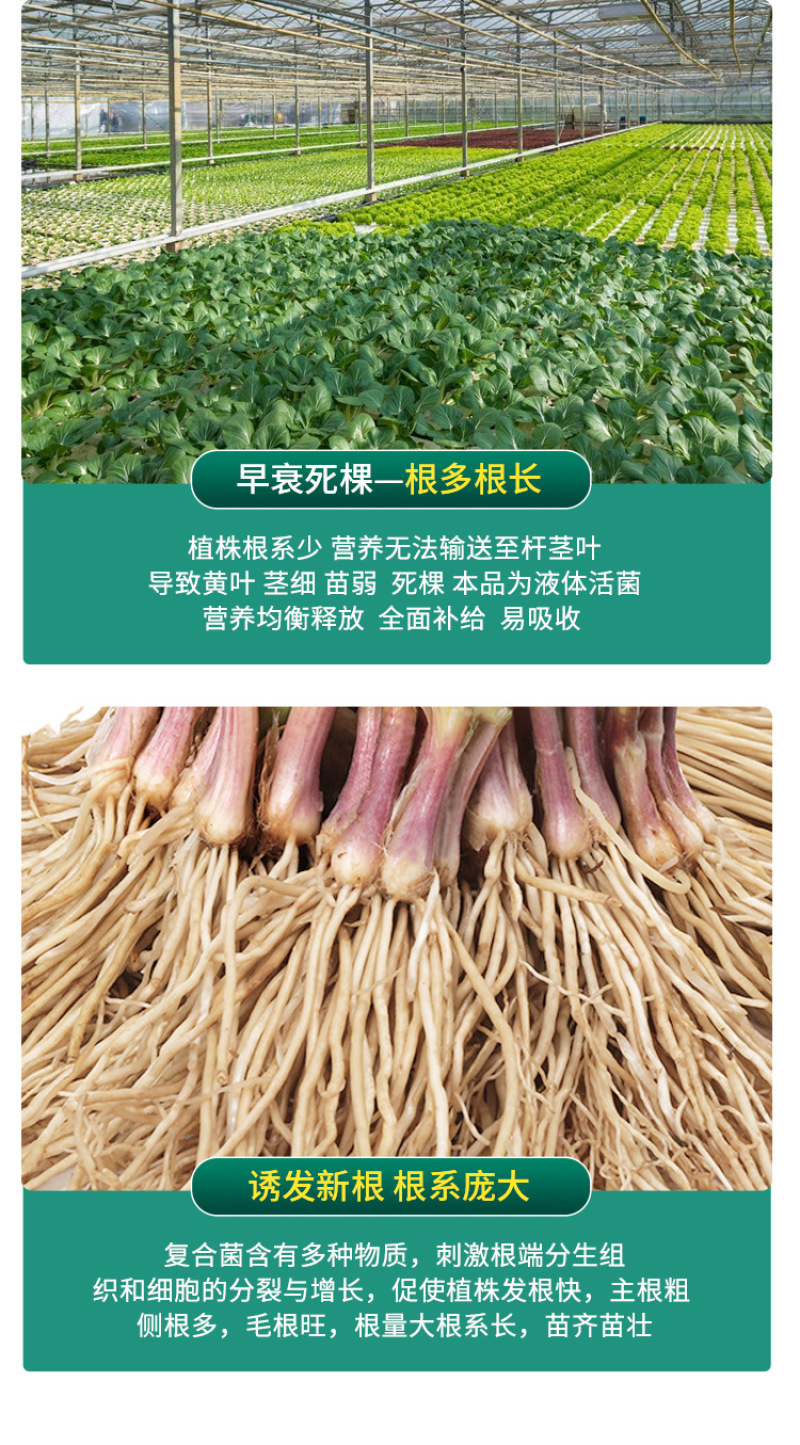 根优旺生根剂EM菌液中药发酵菌液抗病生根解农残