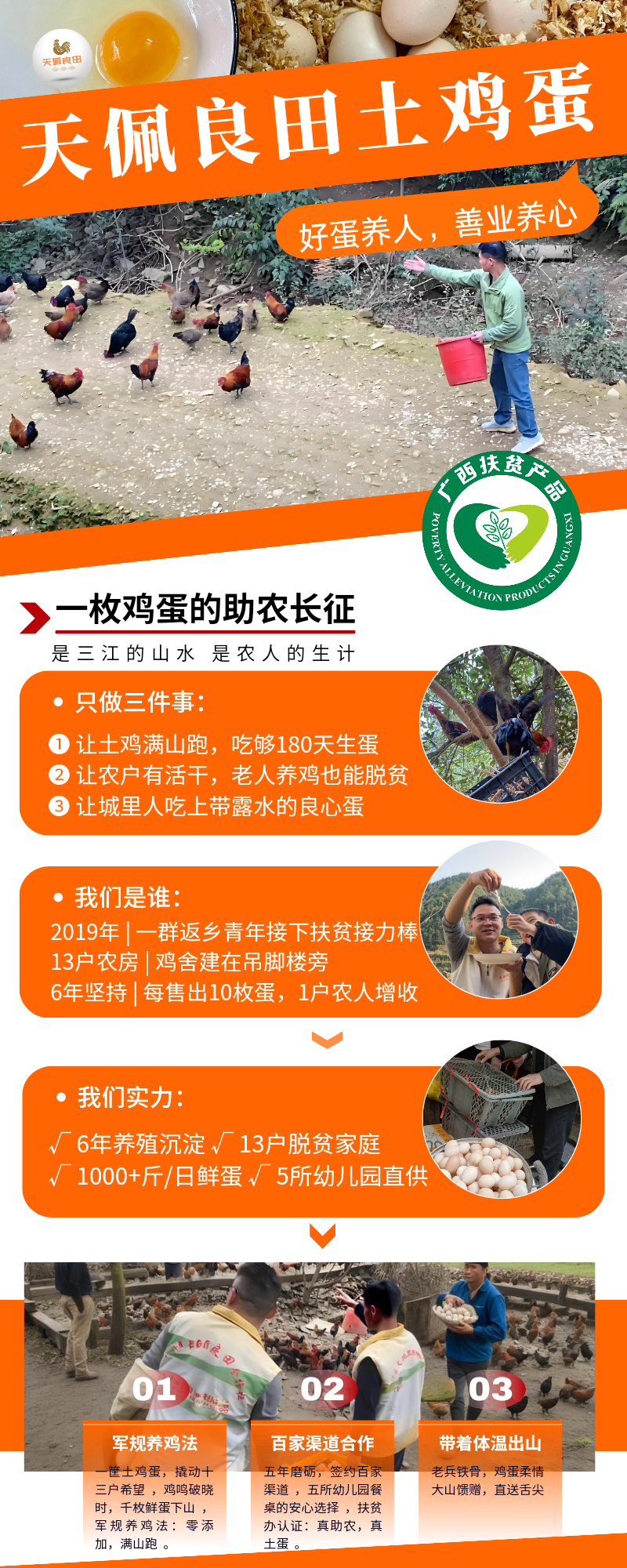 农家散养土鸡蛋_三江高山满山跑_吃百虫饮山泉的鸡蛋_包鲜
