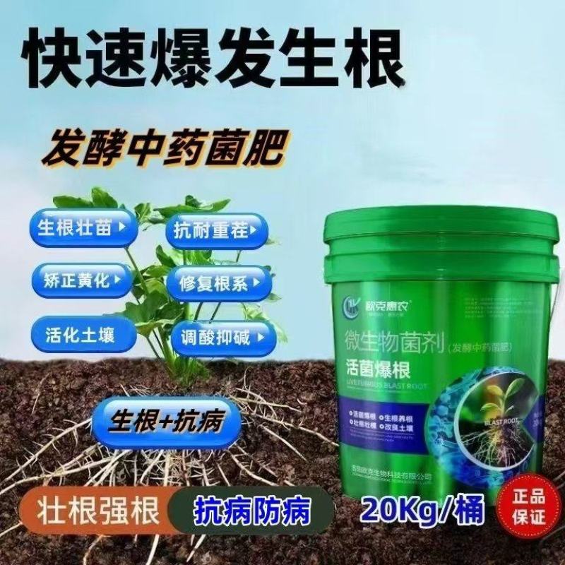 活菌爆根发酵中药菌肥生根养根壮根改良土壤瓜果蔬菜肥