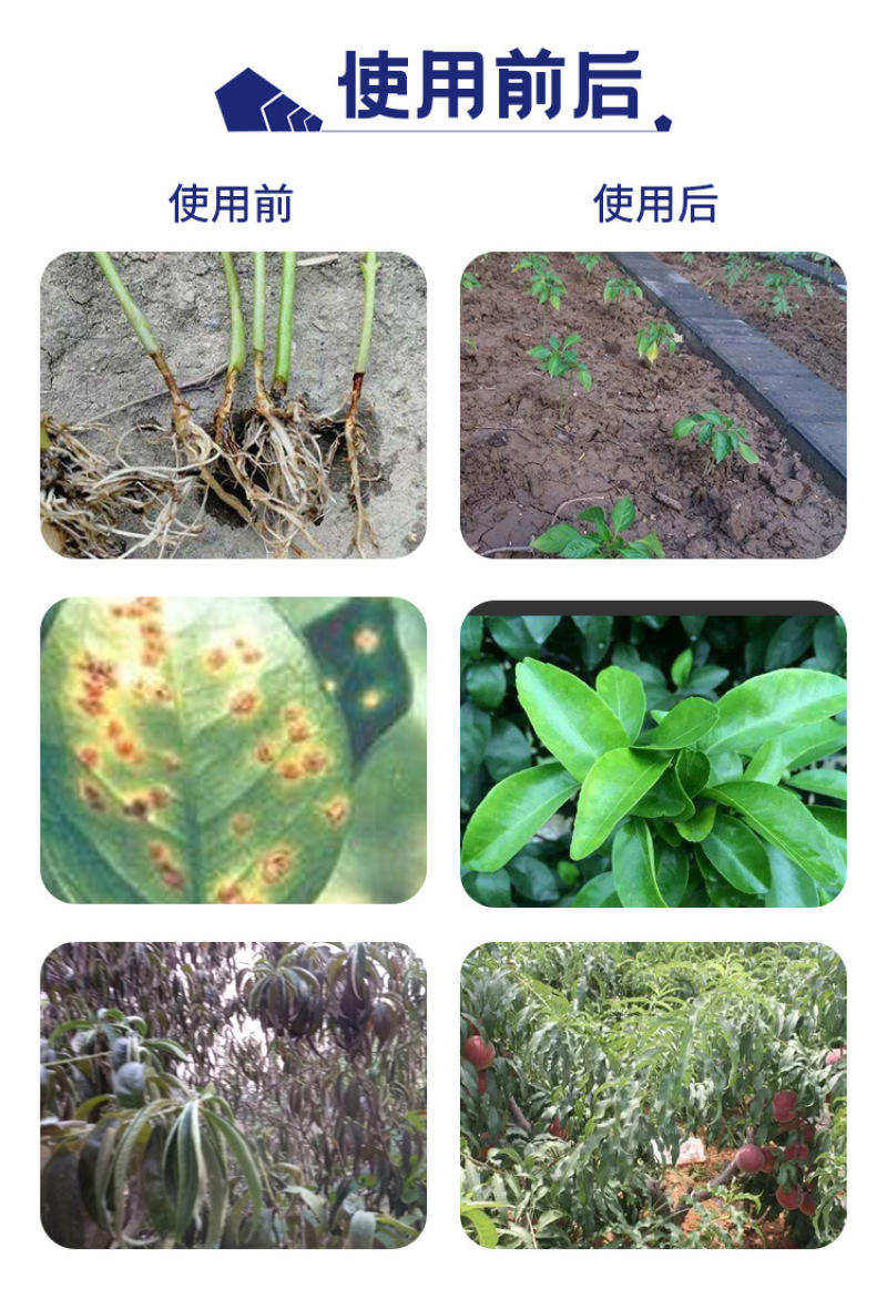 500亿活菌肥枯草芽孢杆菌养护土壤预防病害微生物菌菌
