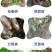 500亿活菌肥枯草芽孢杆菌养护土壤预防病害微生物菌菌