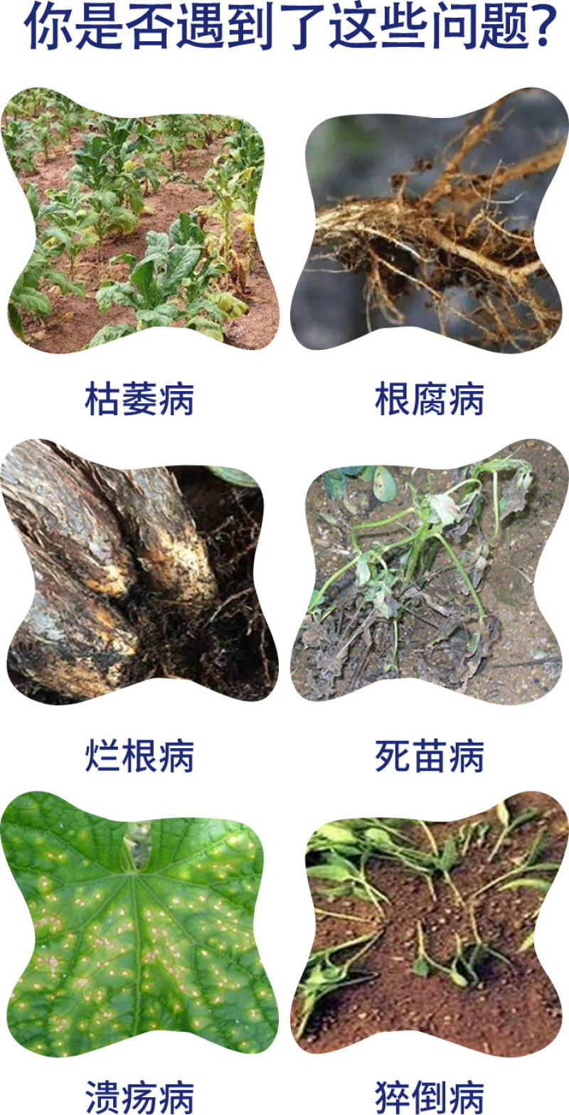 500亿活菌肥枯草芽孢杆菌养护土壤预防病害微生物菌菌