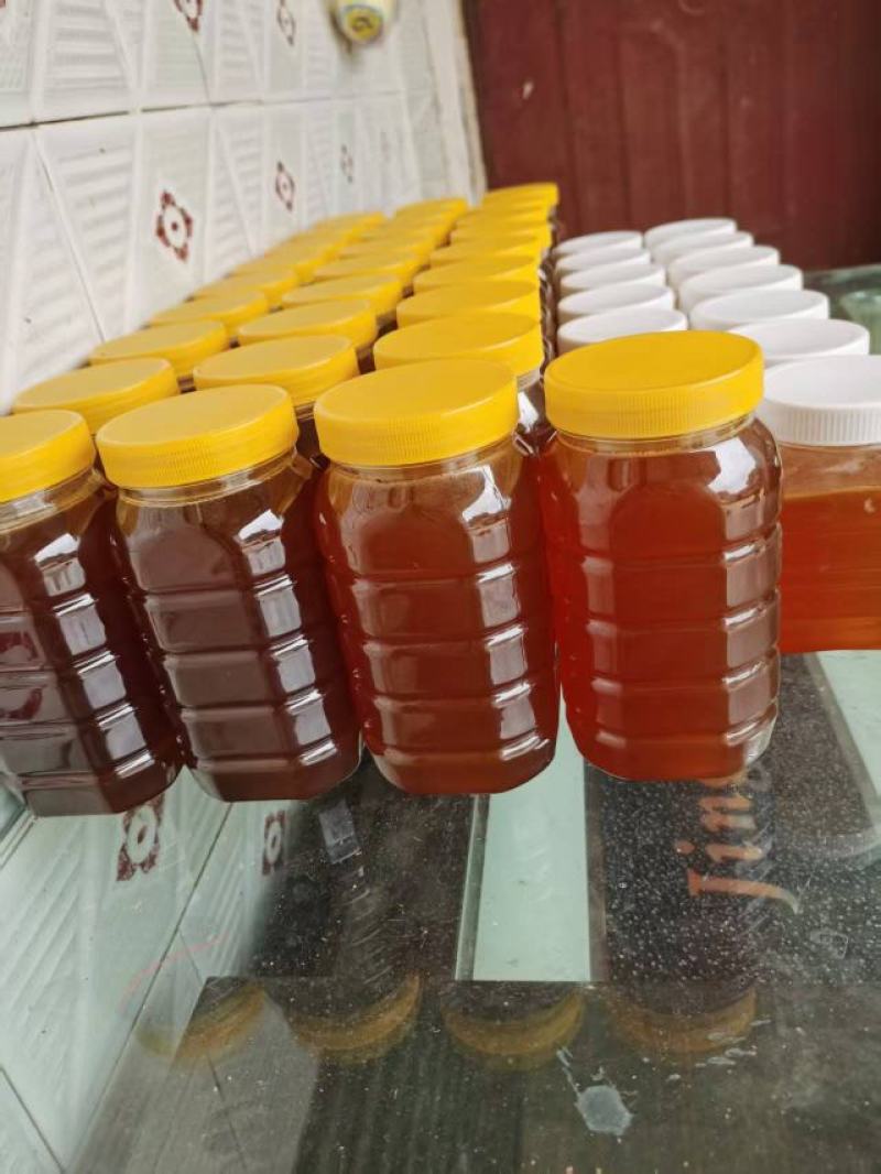 云南野生蜂蜜大量供应，货源充足，量大从优，欢迎咨询。