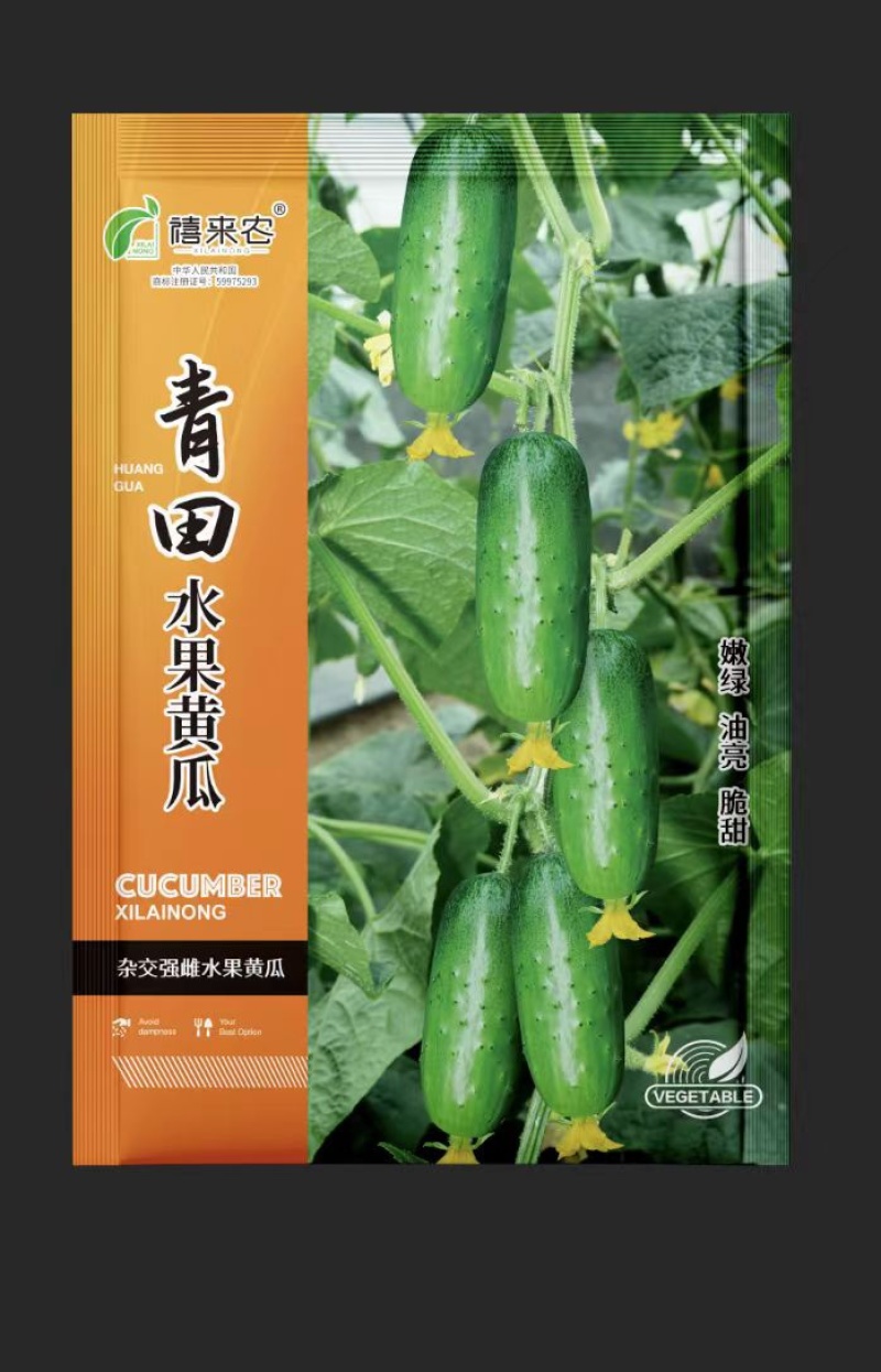 青田水果黄瓜种子旱黄瓜种子早熟早棒型春秋四季种植