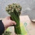【量大优惠】重庆蕨菜品质保障对接批发商超电商