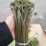 【量大优惠】重庆蕨菜品质保障对接批发商超电商