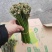【量大优惠】重庆蕨菜品质保障对接批发商超电商
