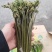 【量大优惠】重庆蕨菜品质保障对接批发商超电商
