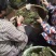 【量大优惠】重庆蕨菜品质保障对接批发商超电商