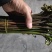 【量大优惠】重庆蕨菜品质保障对接批发商超电商