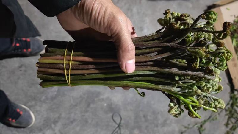 【量大优惠】重庆蕨菜品质保障对接批发商超电商