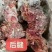 猪腱子肉龟腱后腱块腱鼠腱都是20斤1件适合所有人常年批发