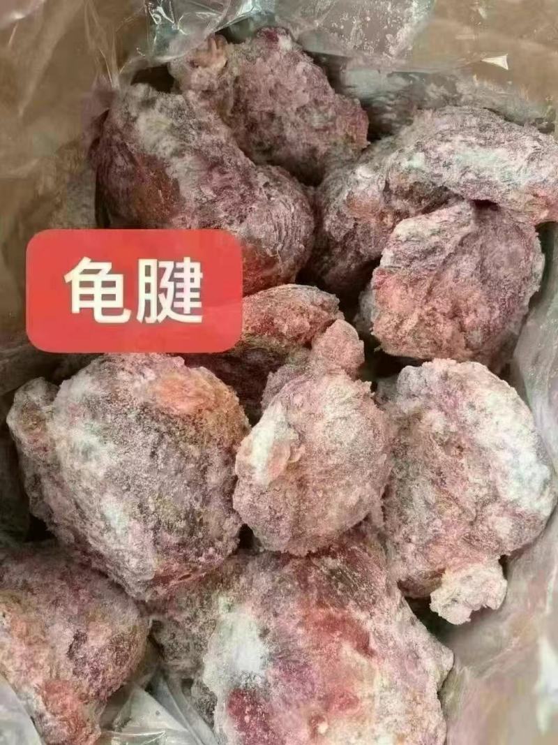 猪腱子肉龟腱后腱块腱鼠腱都是20斤1件适合所有人常年批发