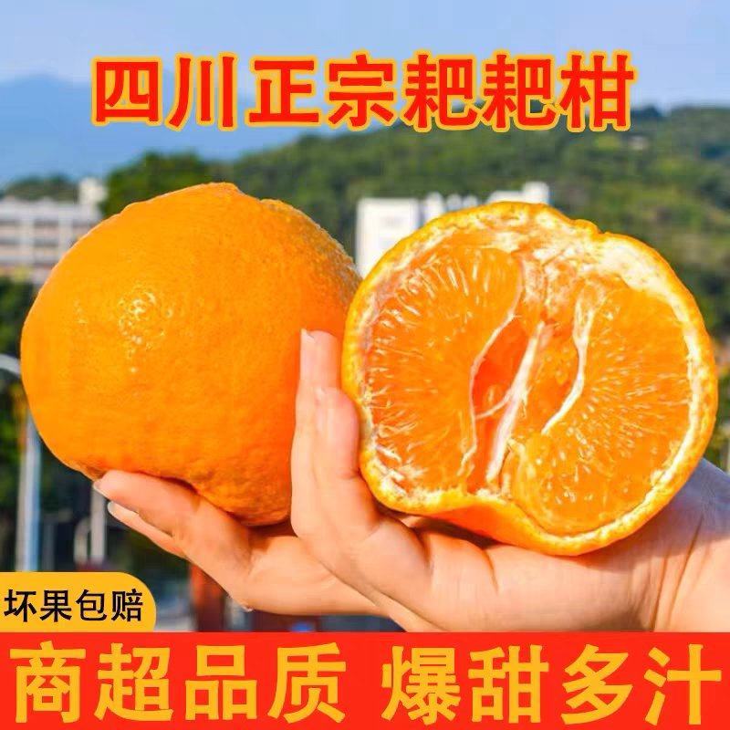 【实力】四川正宗耙耙柑春见柑橘基地直发保质保量对接商超