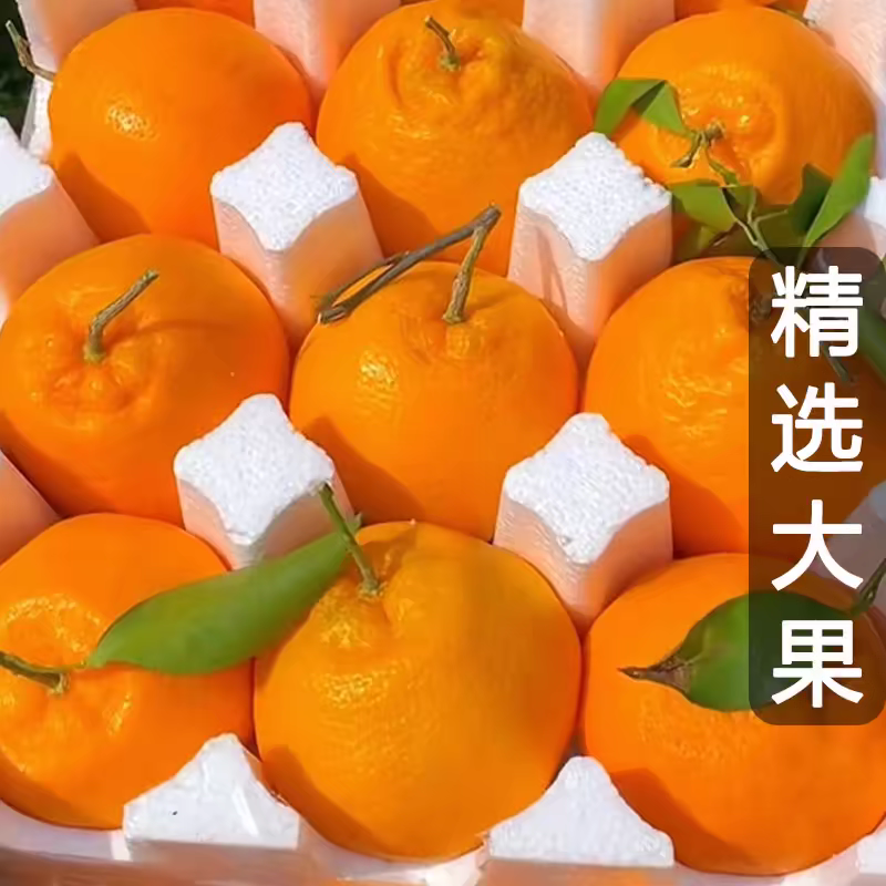 【实力】四川正宗耙耙柑春见柑橘基地直发保质保量对接商超