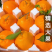 【精选】四川春见耙耙柑一件代发，电商团购供应链，大量现货