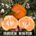 【精选】四川春见耙耙柑一件代发，电商团购供应链，大量现货
