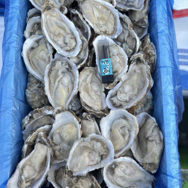 半壳原汁生蚝，肉质肥美，原汁原味，夜市，自助餐首选