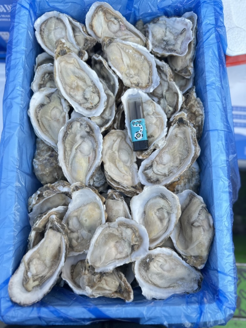 半壳原汁生蚝，肉质肥美，原汁原味，夜市，自助餐首选