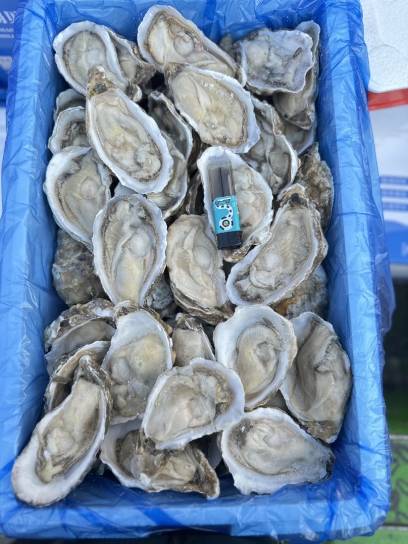 半壳原汁生蚝，肉质肥美，原汁原味，夜市，自助餐首选