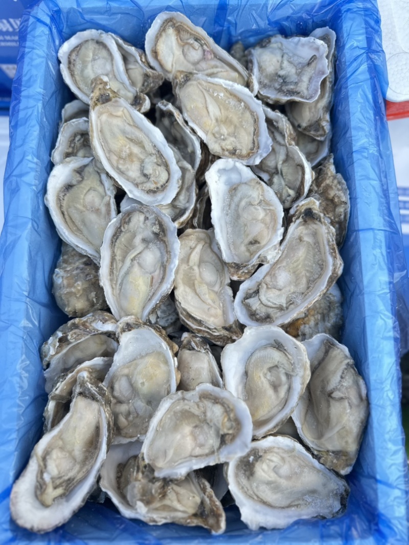 半壳原汁生蚝，肉质肥美，原汁原味，夜市，自助餐首选
