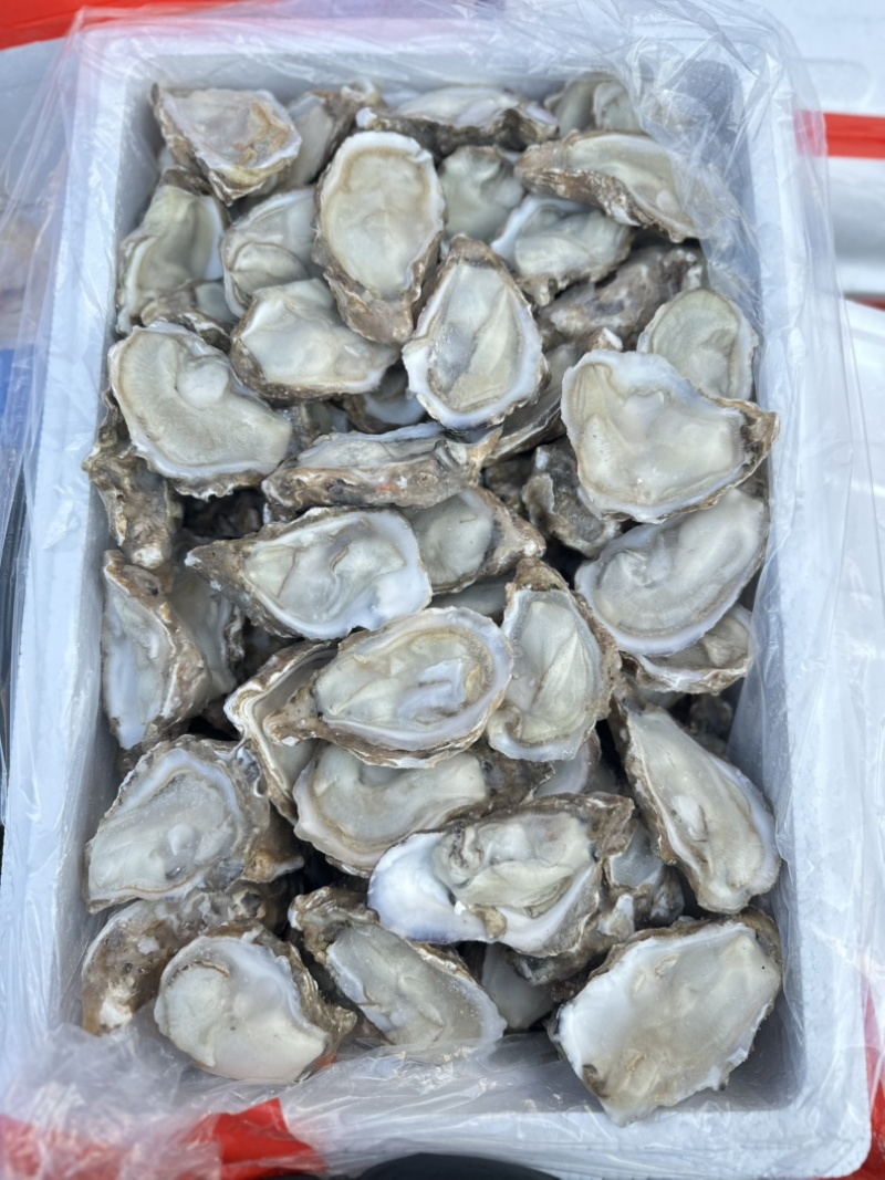 半壳原汁生蚝，肉质肥美，原汁原味，夜市，自助餐首选