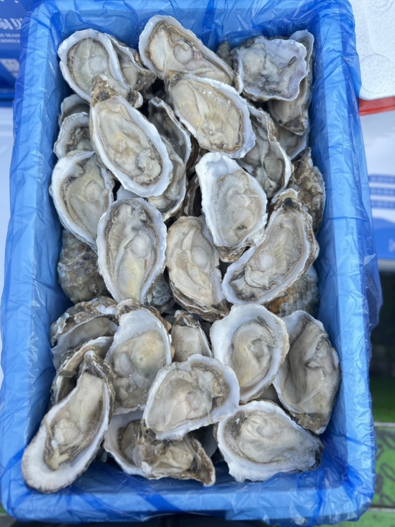 半壳原汁生蚝，肉质肥美，原汁原味，夜市，自助餐首选