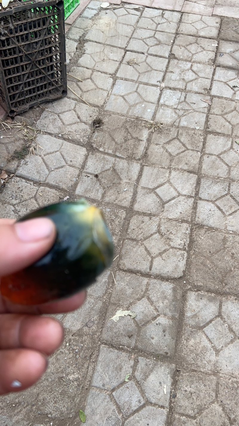 散黄松花蛋，赶大集专用价格低口感不错！泥盐鸭蛋