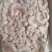 肥猪小花肠