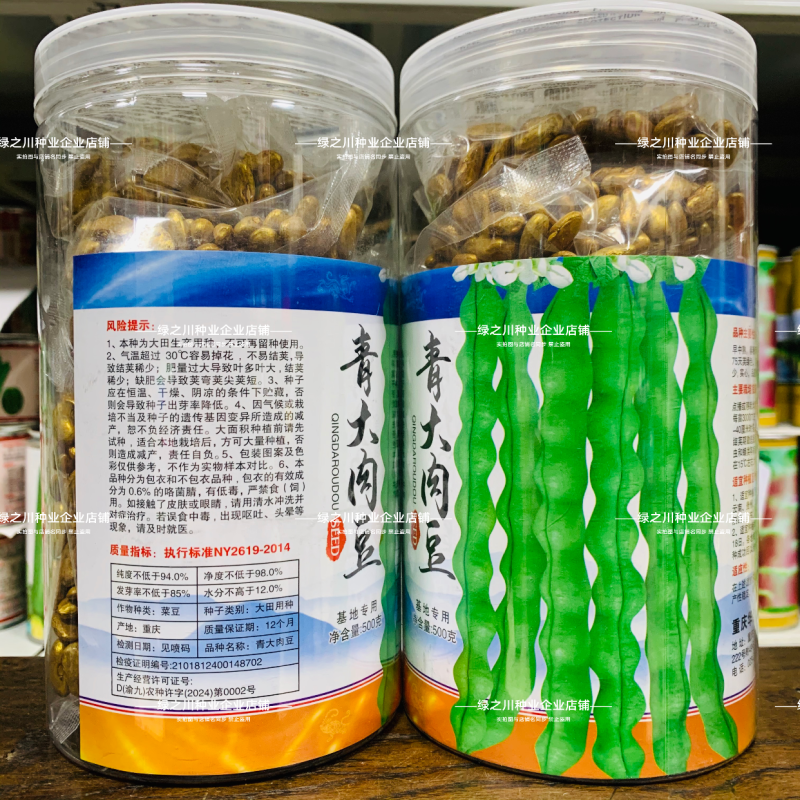 大青肉豆种子九粒青架豆种子少筋芸豆纤维少高产实心四季豆