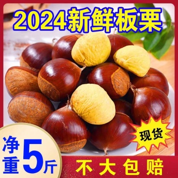 （包邮）板栗新鲜现摘生栗子野生板栗批发5斤