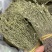 独脚金青绿货各种规格大量供应对接全国市场