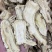 当归当归片全归当归头片甘肃岷县当归无硫新货