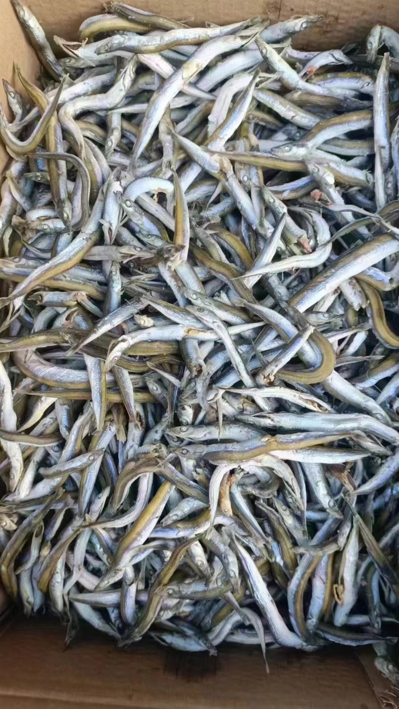 银针鱼，面条鱼，即食，干煸辣炒都好吃，做香辣小熟鱼特棒